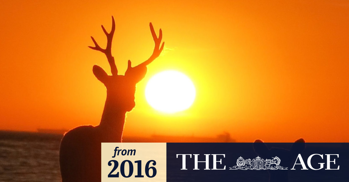 Melbourne weather Victorians to roast through a Christmas heatwave